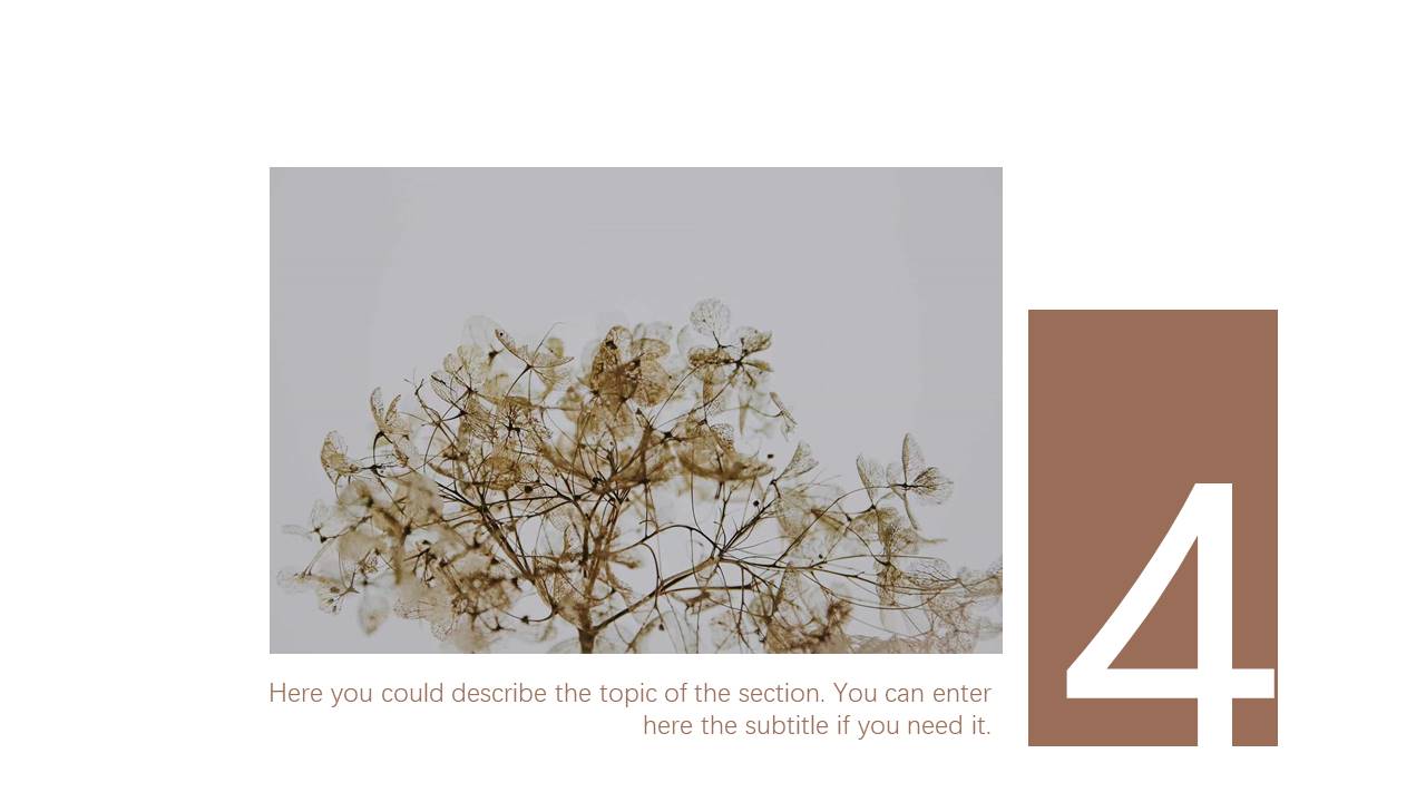 旅游画册 (77).pptx